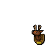  deer trophy